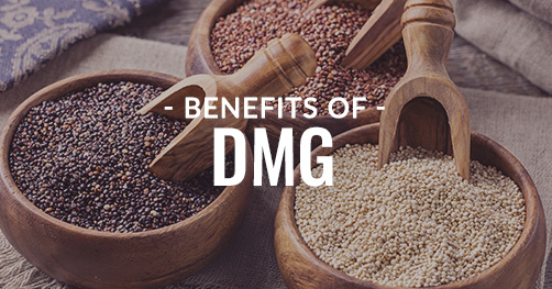 benefits of dmg supplement